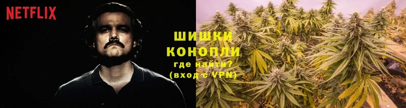 купить   блэк спрут зеркало  Каннабис White Widow  Добрянка 